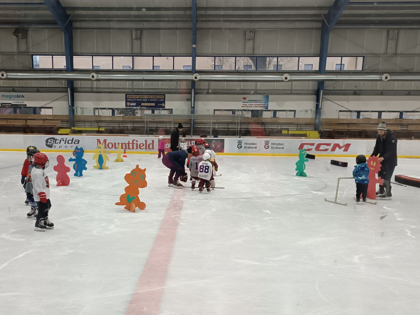 Trénink Kurzu ledního hokeje v Hradci Králové.