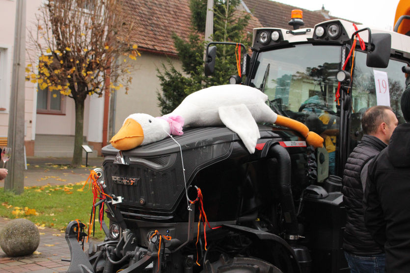 Svatomartinská husa