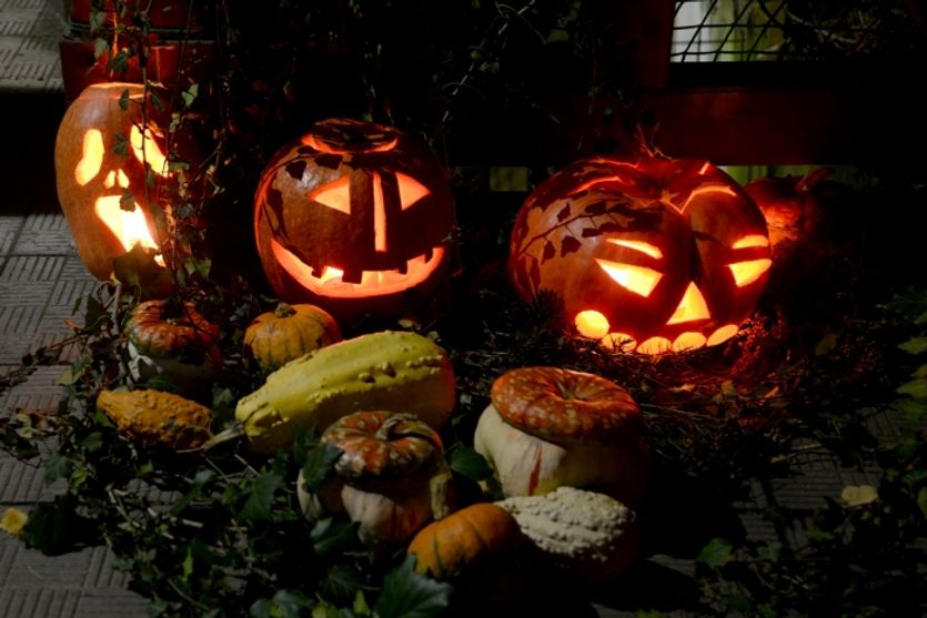 Výzdoba  olomoucké zoo