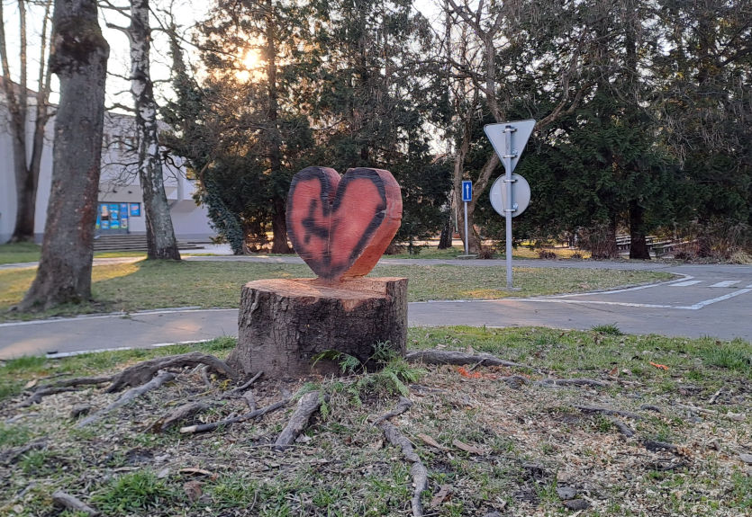 Srdíčko z pokáceného stromu v městském parku