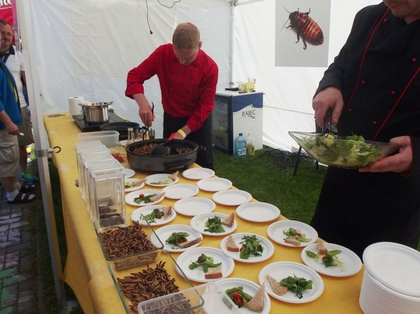 Garden Food Festival 2015