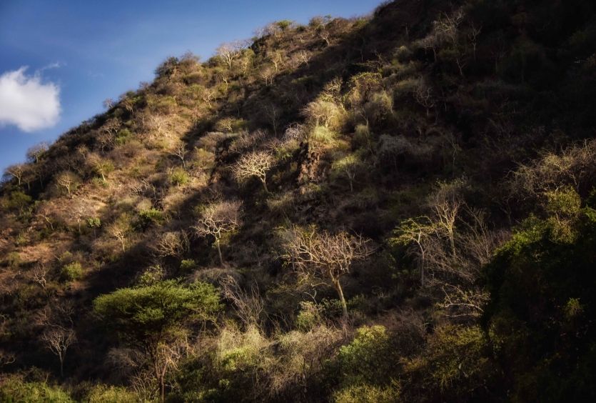 Ebore Land, Omo V. Ethiopia