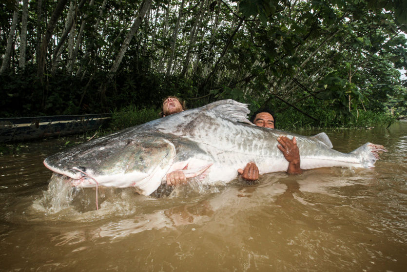 Ilustrační obrázek z plakátu k akci