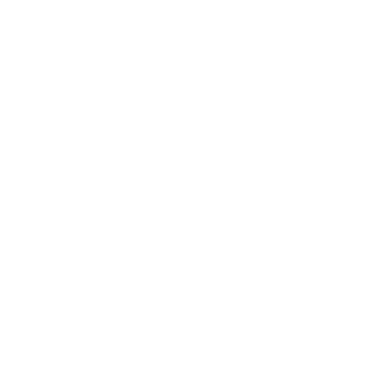 Tenthcode Technologies Logo