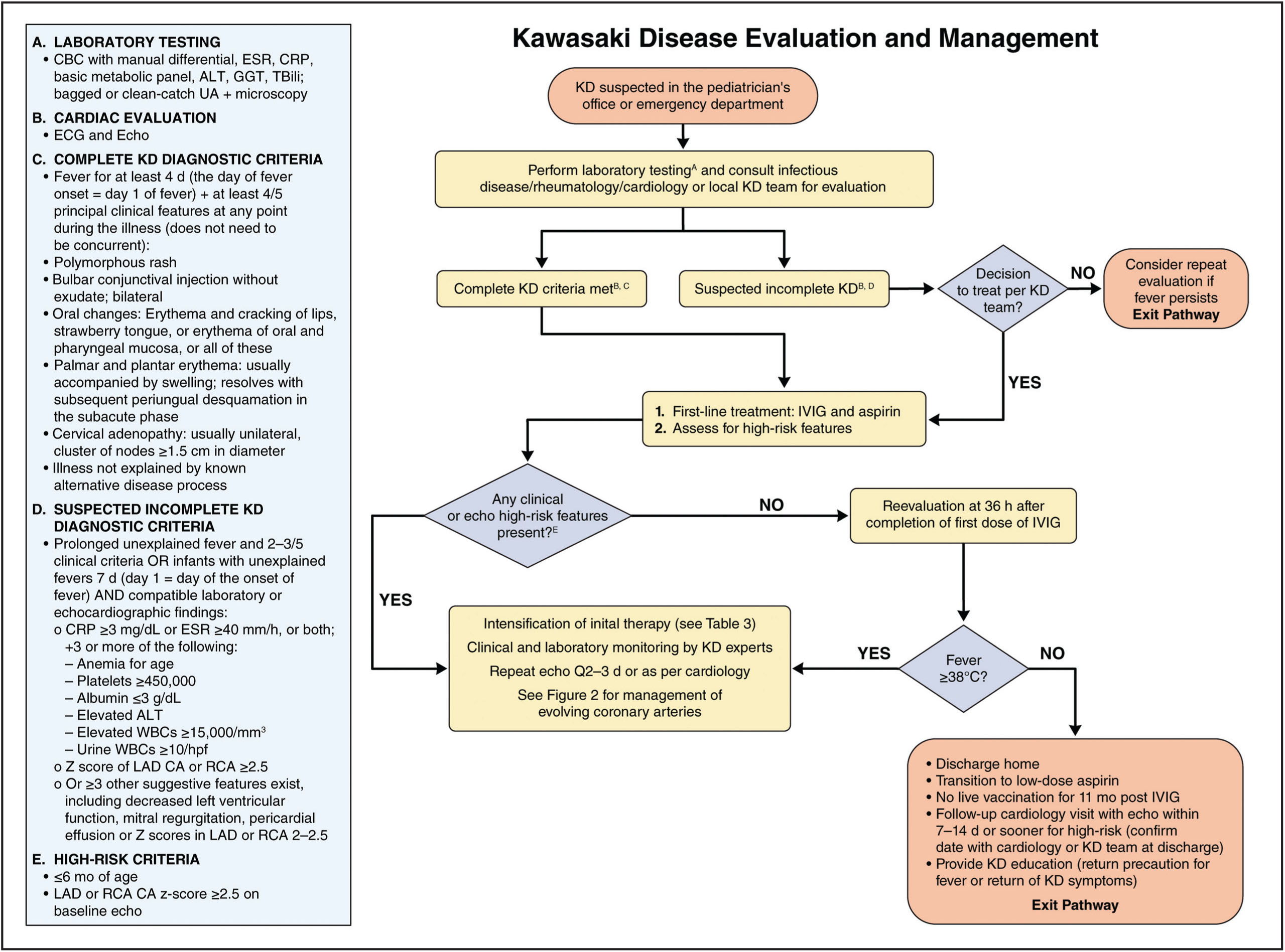 Alur Kawasaki Disease.jpg