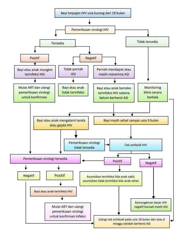 Alur diagnosis HIV.png