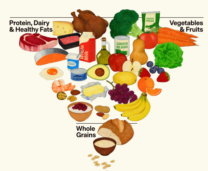 piramida nutrisi terbalik.png