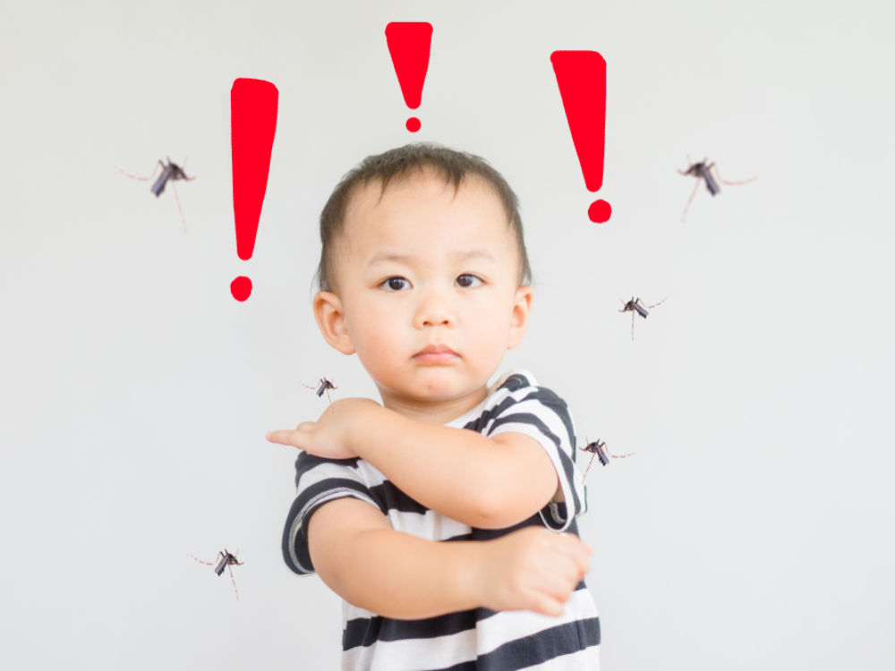 Mitos Fakta DBD (2).png