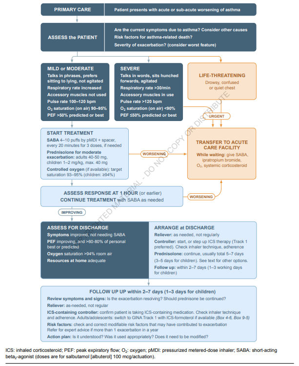 GINA asma akut.png