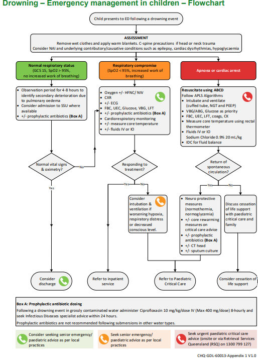 flowchart drowning.png