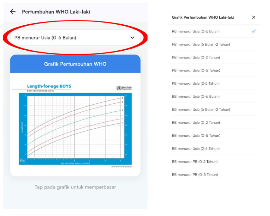 Tutorial Grafik Tumbuh 3.png