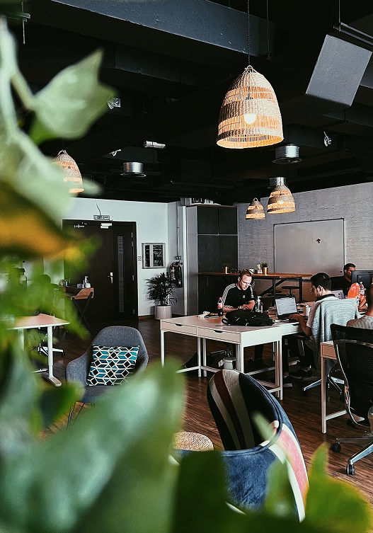 Primo Motif team collaboration and creative workspace culture