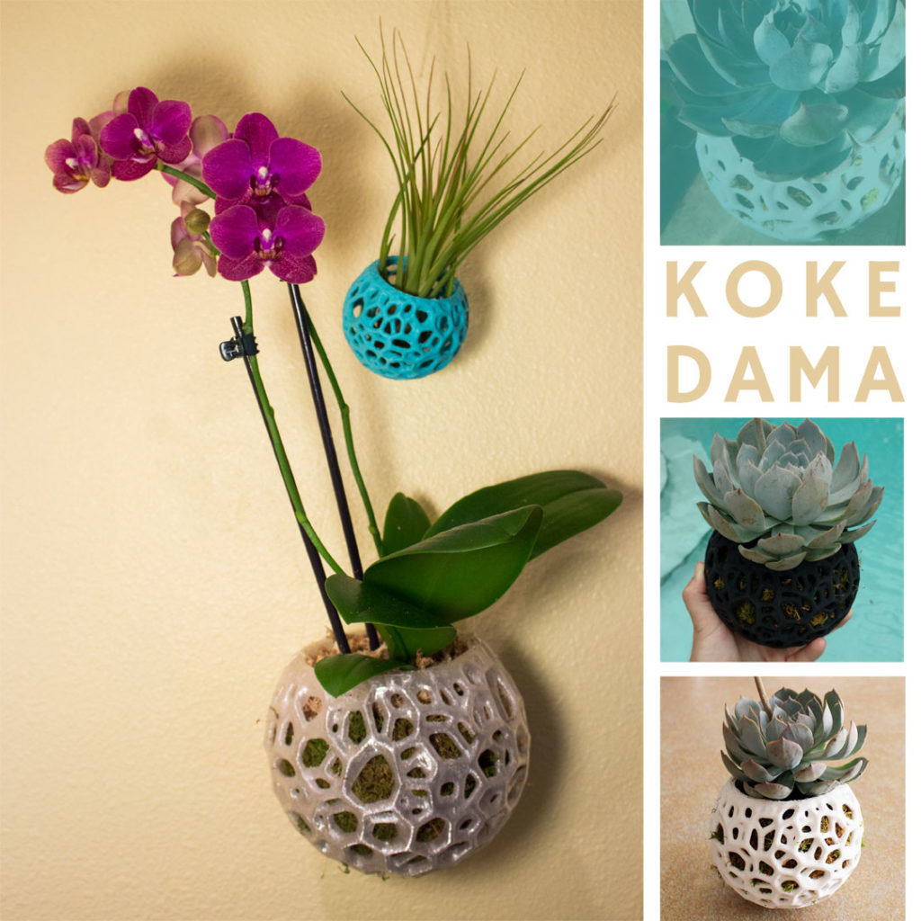 Kokedama Options