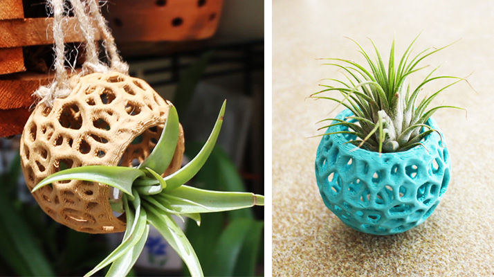 Kokedama Air Plant Holder