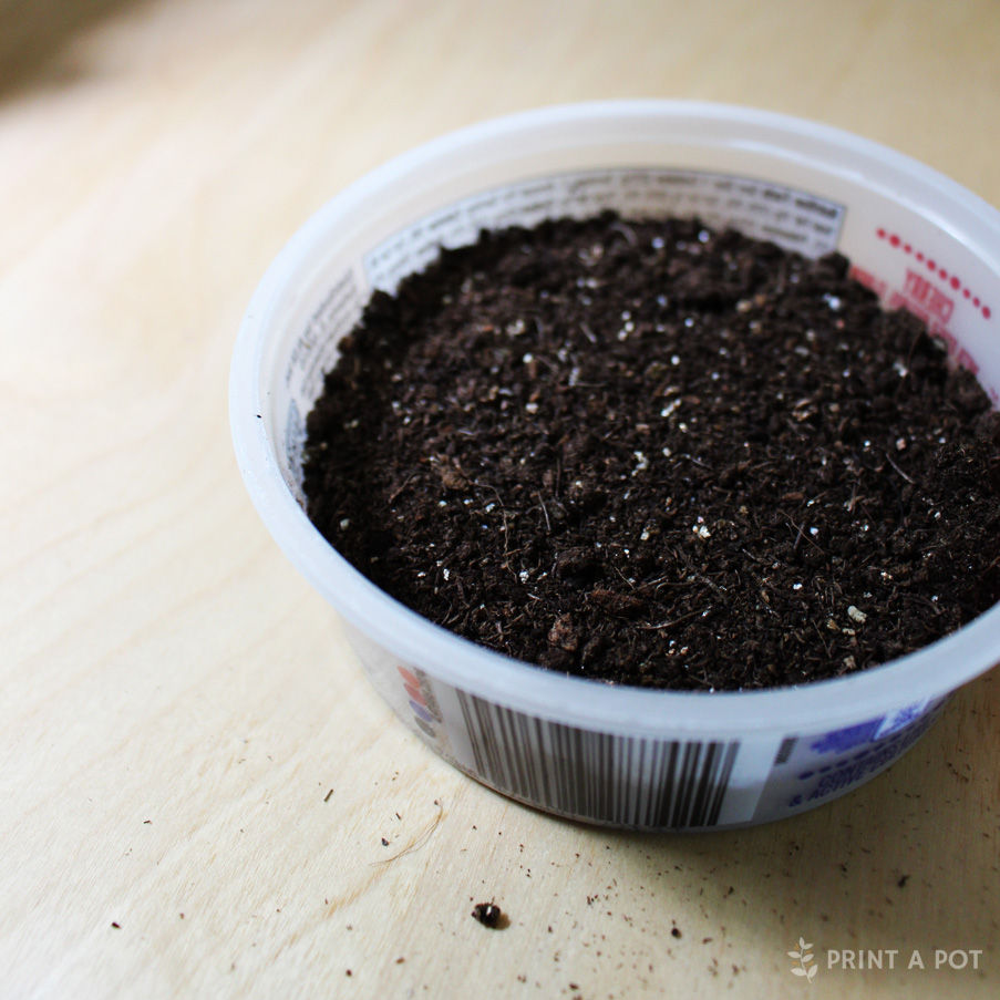 Prepare a Prop Pot for Propagating