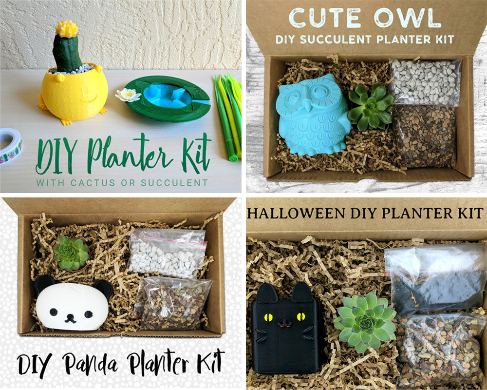 DIY Planter succulent kits