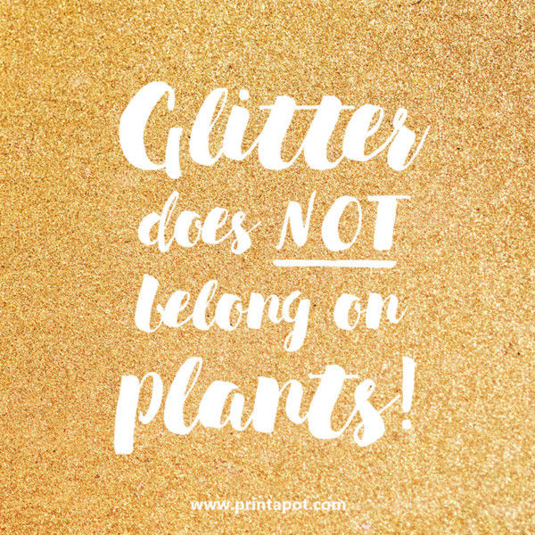 Glitter on plants