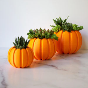 Succulent Pumpkin Planters