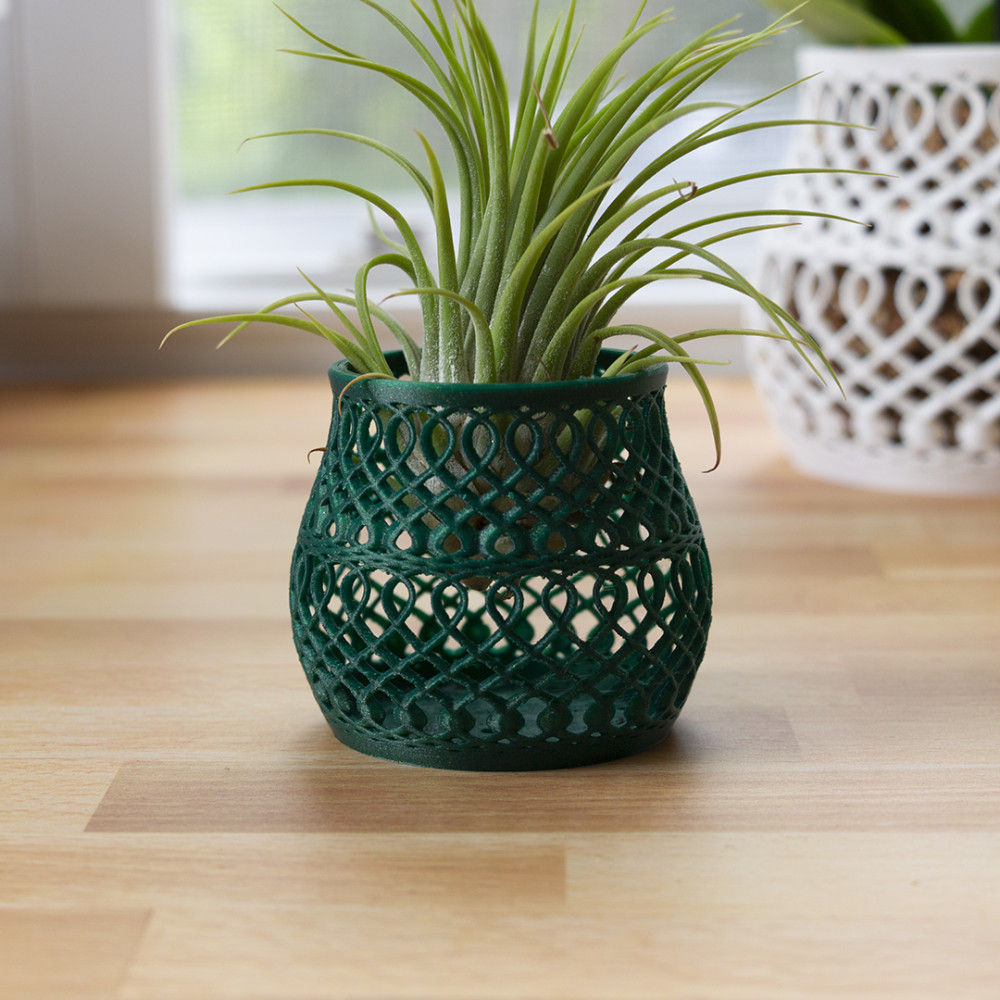 Decorative Air Plant Vase Print A Pot