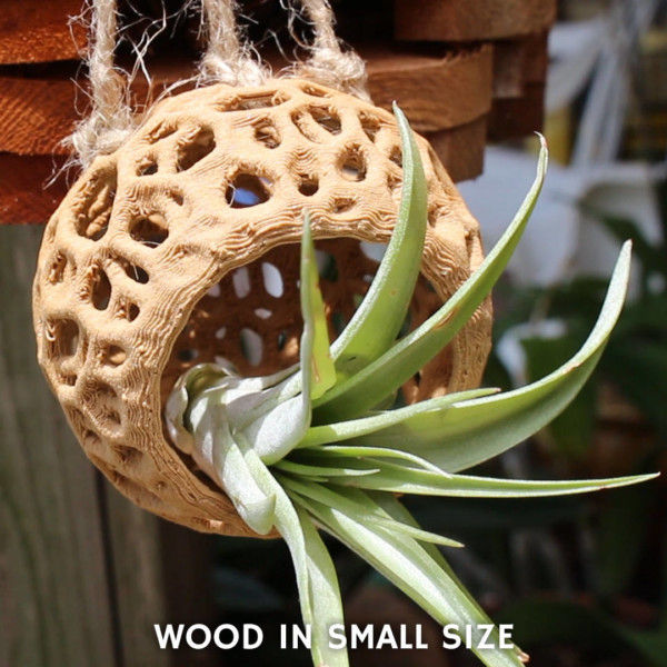 DIY Kokedama, Hanging Planter, Orchid Pot, Air Plant Holder, Moss Ball, Voronoi Hanging Planter, Jellyfish, Moss Planter, Bonsai Pot