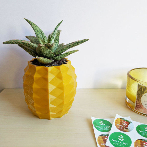 Aloe Pineapple Planter, Pineapple Succulent Planter, Golden Pineapple Aloe Holder, Pineapple Planter, 3d Printed Pineapple, Pineapple Pot