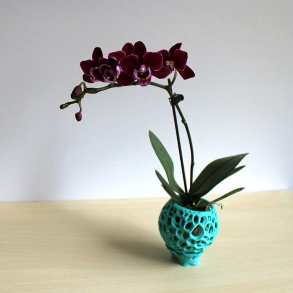 Small DIY Kokedama Set with Holder - Cute Air Plant Holder, Mini Orchid Pot, Mini Orchid Planter, Tiny Succulent Kokedama