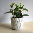 Geometric Cachepot for Houseplants - Modern Minimalist Diamond Pot, Hygge Home Decor, 3D Printed Planter, Decorative Pot, Cache Pot