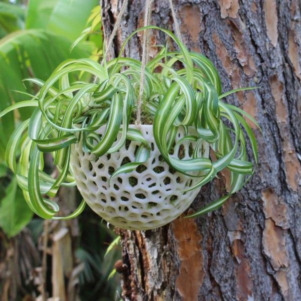 DIY Hanging Planter; Kokedama for Orchids, Succulents, Hanging Plants; DIY Hanging Planter; Orchid Pot; Unique Hanging Pot