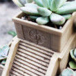 Aztec Pyramid Planter for Growing Succulents, Propagation Tray, 3D Printed Planter, Succulent Planter, Mexican Planter