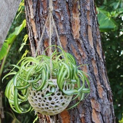 DIY Hanging Planter; Kokedama for Orchids, Succulents, Hanging Plants; DIY Hanging Planter; Orchid Pot; Unique Hanging Pot