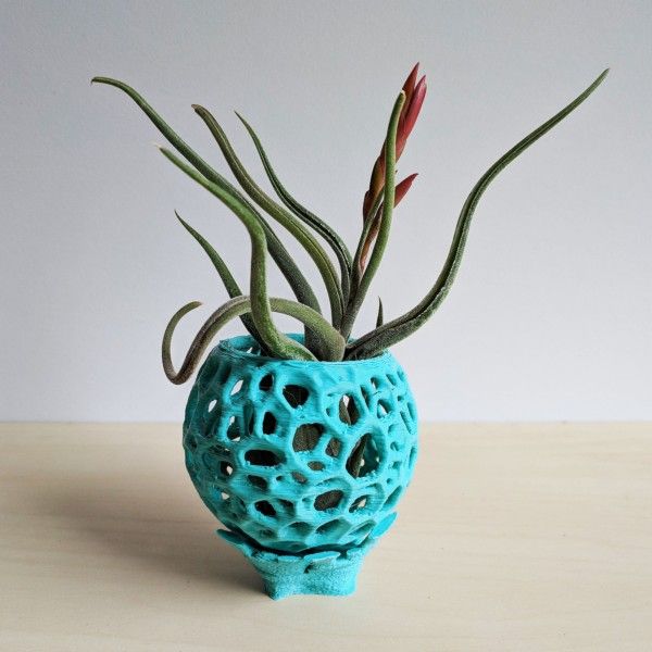 DIY Kokedama, Hanging Planter, Orchid Pot, Air Plant Holder, Moss Ball, Voronoi Hanging Planter, Jellyfish, Moss Planter, Bonsai Pot