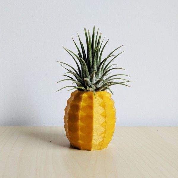 Pineapple Air Plant Holder, Pineapple Airplant, Geometric Air Plant, Air Pineapple Pot, Print A Pot Pineapple Planter, Air Plant Container