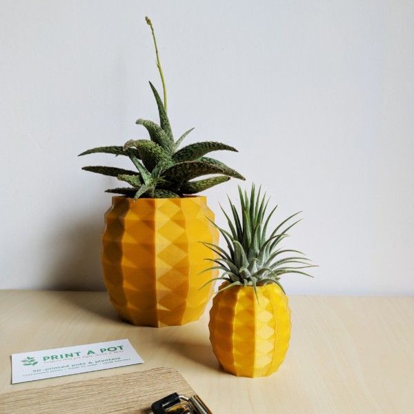 Pineapple Air Plant Holder, Pineapple Airplant, Geometric Air Plant, Air Pineapple Pot, Print A Pot Pineapple Planter, Air Plant Container