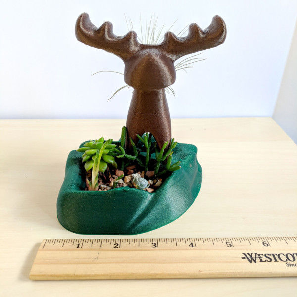 Moose Air Plant Holder and Succulent Planter, Cute Moose, Animal Planter, Moose Decor, Tabletop Planter, Room with a Moose, Airplant Stand