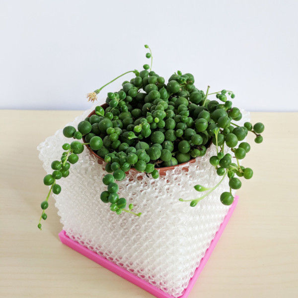 Medium Cubelia - Modern Cube Pot, Geometric 4" Succulents Pot, Minimalist Succulent Planter, Square Pot, Orchid Planter, Unique Orchid Pot