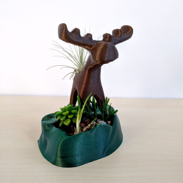 Moose Air Plant Holder and Succulent Planter, Cute Moose, Animal Planter, Moose Decor, Tabletop Planter, Room with a Moose, Airplant Stand