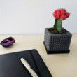 Cubelia - Modern Minimalist Cube Pot, Geometric Succulents Pot, Minimalist Succulent Planter, Square Pot, Mini Orchid Pot, Math Teacher Gift