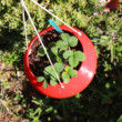 Strawberry Hanging Planter, Outdoor Hanging Planter Pot for Strawberry Garden, Vertical Planter, Strawberry Pot, Hanging Planters