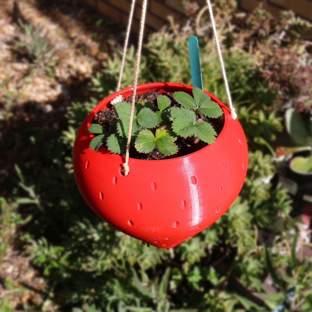 Large Hanging Strawberry Planter Print A Pot
