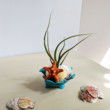 Sea Coral Catch All Dish for Lake House Decor, Coral Reef Inspired, Teal Coral Decor, Air Plant Holder, Catchall Key Dish, Beach Decor