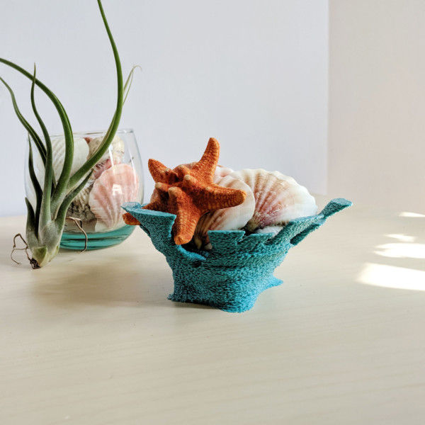 Seashell Succulent Planter Pot 3D Printed - Shell Planter - Seashell  Planter