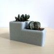 Villa Desk Planter - Succulent Planter 3D Printed, Architectural Pot, Desk Pot, 3D Printed Desktop Planter with Drainage Holes