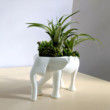 Elephant Planter for Hygge Home Cactus Planter, Elephant Air Plant Holder, Succulent Planter Cute Animal Pot Animal Planter Air Plant Holder