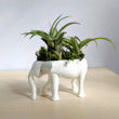 Elephant Planter for Hygge Home Cactus Planter, Elephant Air Plant Holder, Succulent Planter Cute Animal Pot Animal Planter Air Plant Holder