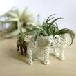 Medium Kokedama Elephant Planter for Hygge Home Cactus Planter, Elephant Air Plant Holder, Succulent Planter Animal Planter Air Plant Holder