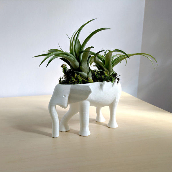 Elephant Planter for Hygge Home Cactus Planter, Elephant Air Plant Holder, Succulent Planter Cute Animal Pot Animal Planter Air Plant Holder