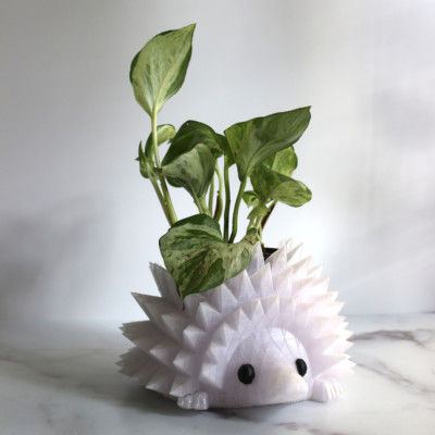 Large Hedgehog Planter for 3.25" Plants, Hedgehog Gifts, Animal Planter, Succulent Planter, Cactus Planter, Air Plant Holder