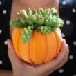 Succulent Pumpkin Planter, Fall Succulent Planter, Autumn Pumpkin Pot, Fall Decor Pumpkin, Thanksgiving Pumpkin, Thanksgiving Table Decor