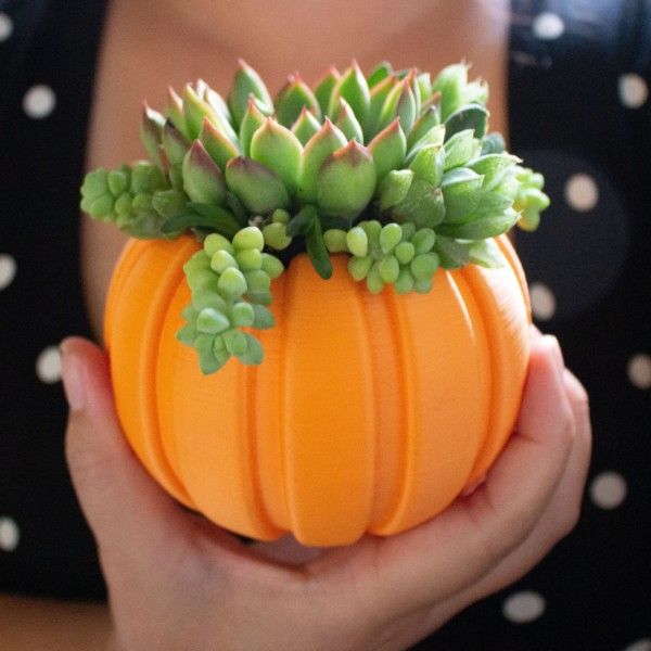 Succulent Pumpkin Planter, Fall Succulent Planter, Autumn Pumpkin Pot, Fall Decor Pumpkin, Thanksgiving Pumpkin, Thanksgiving Table Decor