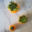 Succulent Pumpkin Planter, Fall Succulent Planter, Autumn Pumpkin Pot, Fall Decor Pumpkin, Thanksgiving Pumpkin, Thanksgiving Table Decor